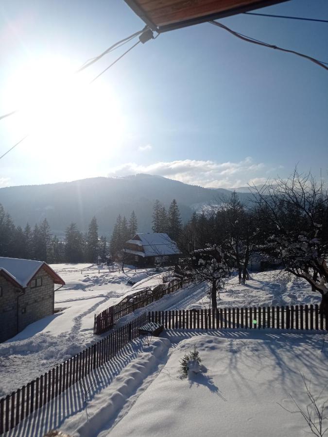 сімейний краєвид