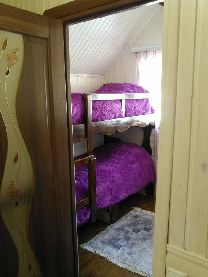 Holiday home сімейний краєвид Mykulychyn