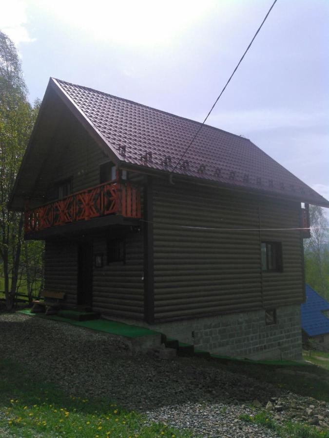 сімейний краєвид Mykulychyn